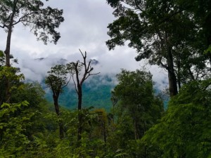 Coorg, Best weekend attraction around Bengaluru