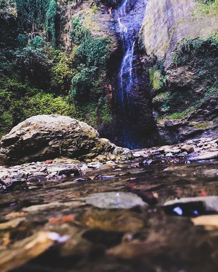 chadwick fall shimla