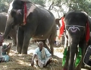 Sonepur Mela Patna.