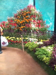 Lalbagh Flower Show, Bangalore